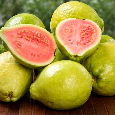 Экстракт гуавы